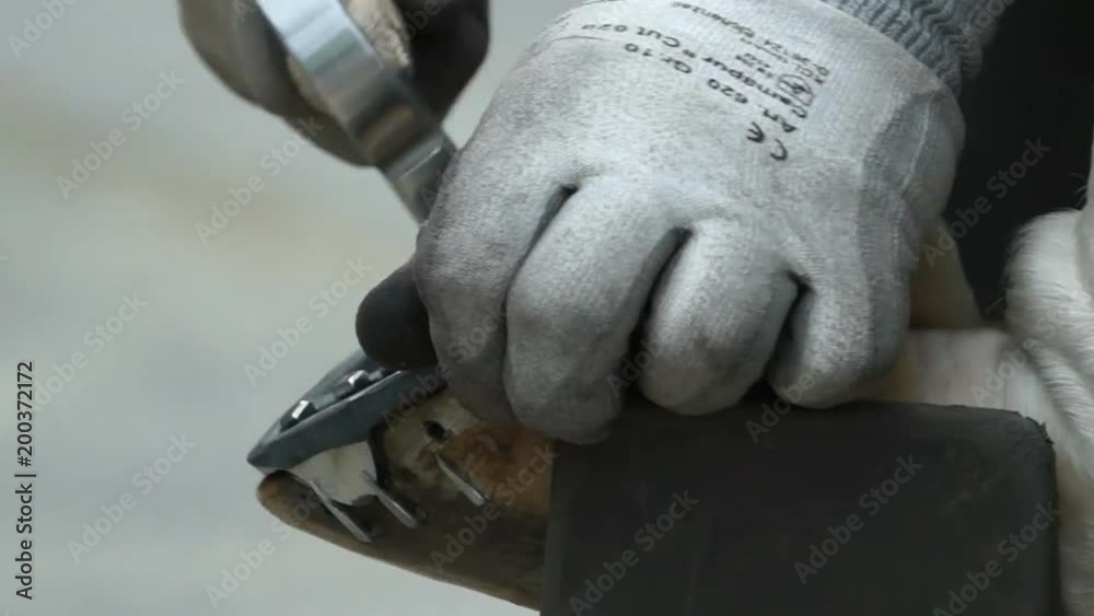 Hufschmied nagelt ein Hufeisen auf. Slowmotion Hufschmied nagelt ein Hufeisen auf. Slowmotion