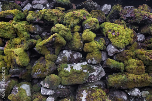 mur pierre mousse muret humide humidité séparation terrain clôture vieux matière texture