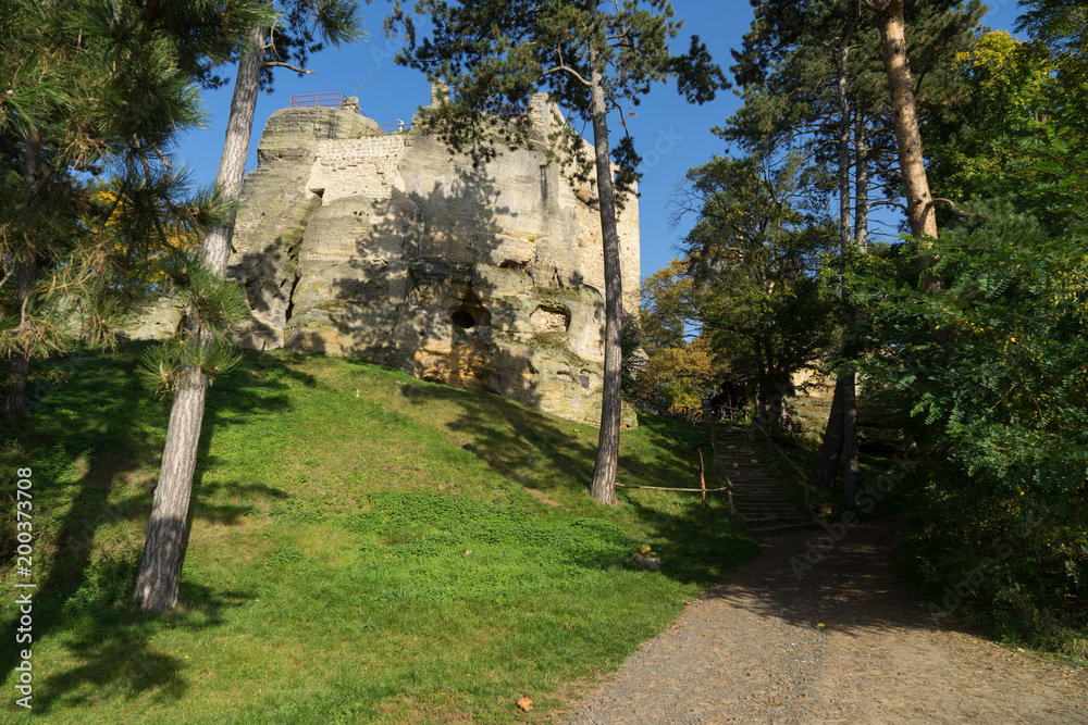 Ruins of Valecov Castle, Central Bohemian Region, Czech Republic.