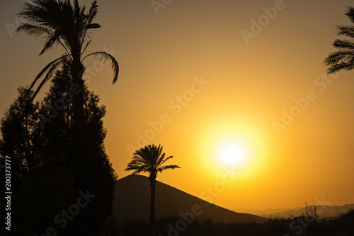 Golden Andalusian sunset