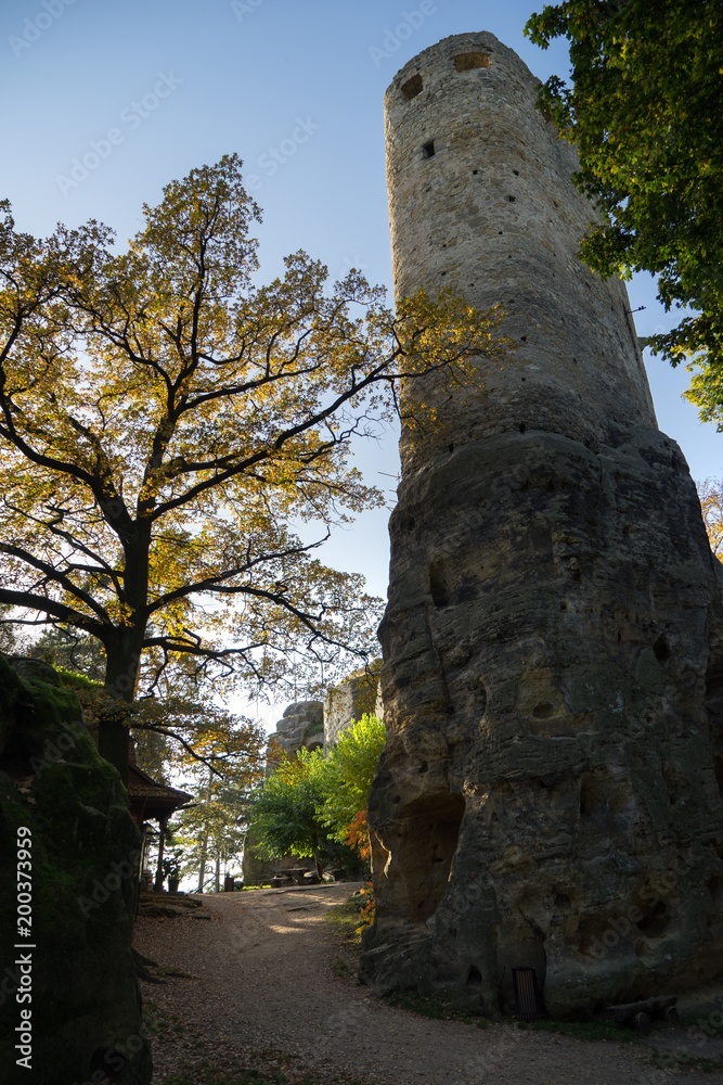 Ruins of Valecov Castle, Central Bohemian Region, Czech Republic.