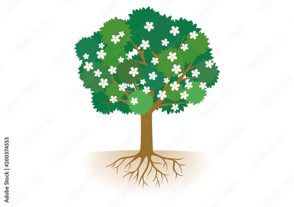 根っこ付き花が咲いた木 Stock ベクター Adobe Stock 根っこ付き花が咲いた木 Stock ベクター Adobe Stock