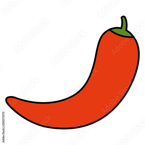 chilli pepper hot vegetable vector illustration design
