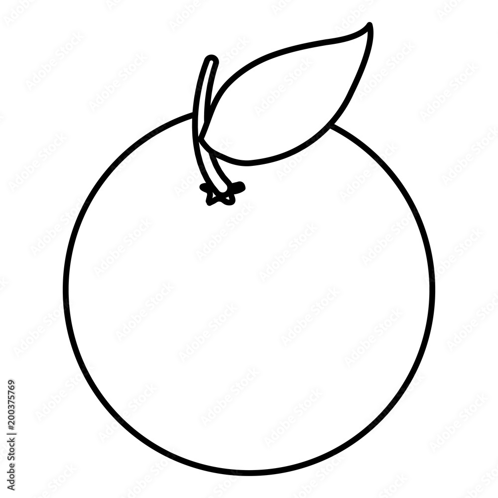 orange citrus fruit icon vector illustration design orange citrus fruit icon vector illustration design
