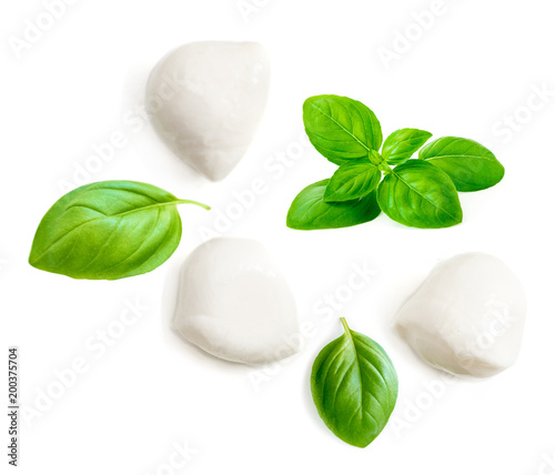 Mozzarella cheese and basil leaf  isolated on white background. Top view.