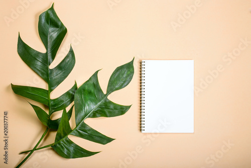 Flat lay empty book for design work two leaf on yellow pastel color background.