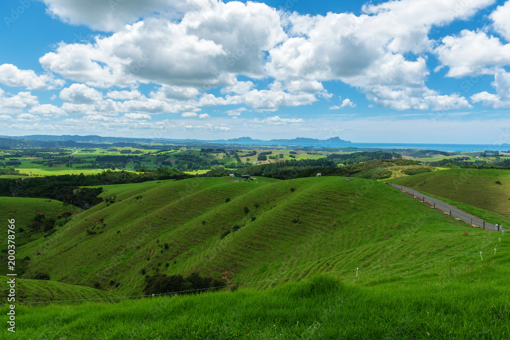 Rolling hills and meadows under a blue sky filled with clouds