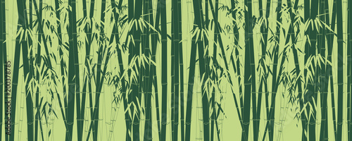 Bamboo plant texture on green background © ArtWiz