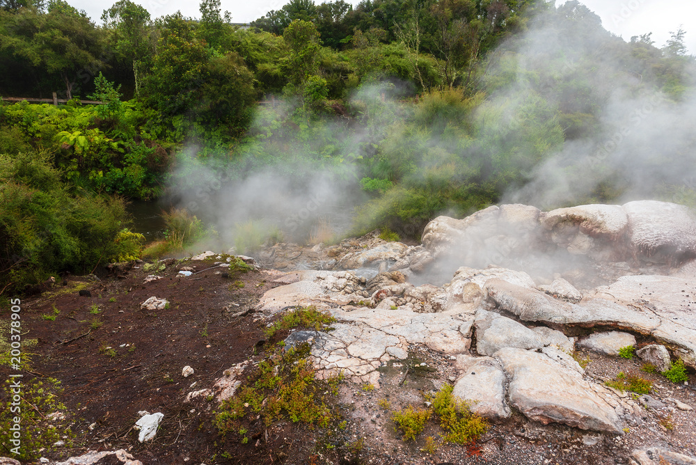 Spectacular Geothermal activity in Rotorua New Zealand Spectacular Geothermal activity in Rotorua New Zealand