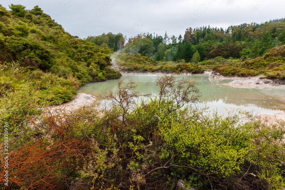 Spectacular Geothermal activity in Rotorua New Zealand Spectacular Geothermal activity in Rotorua New Zealand