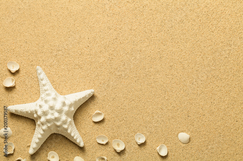 Summer, Sand Background with Starfish and Shells