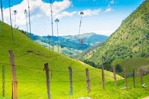 colombia cocora valley in a sunny day photo