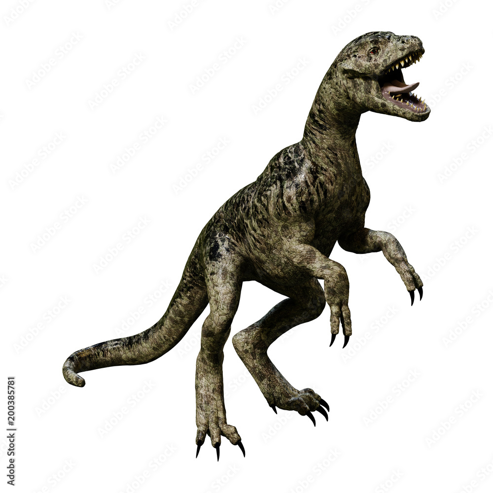 3D Rendering Dinosaur Tyrannosaurus Hatchling on White 3D Rendering Dinosaur Tyrannosaurus Hatchling on White