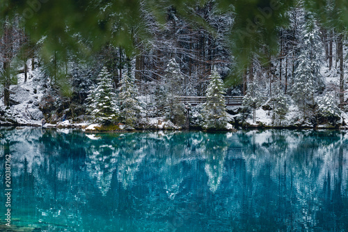Fototapeta Naklejka Na Ścianę i Meble -  Spiegelung verschneiter Tannen am Blausee, Kandersteg, Berner Oberland