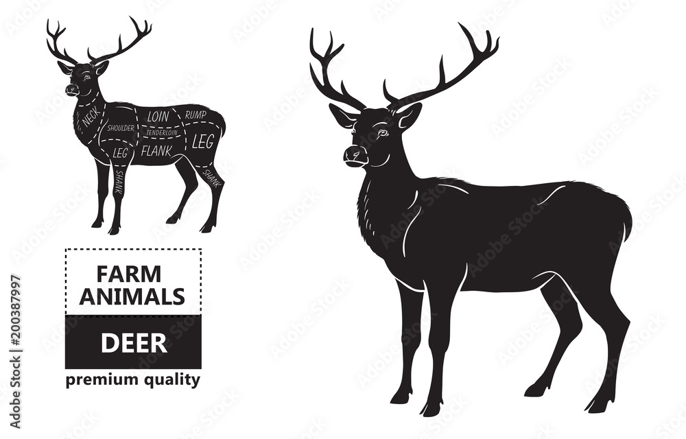 Deer meat cuts with elements and names. Isolated black on white