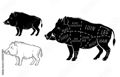 Papier peint Wild hog, boar game meat cut diagram scheme - elements set on chalkboard