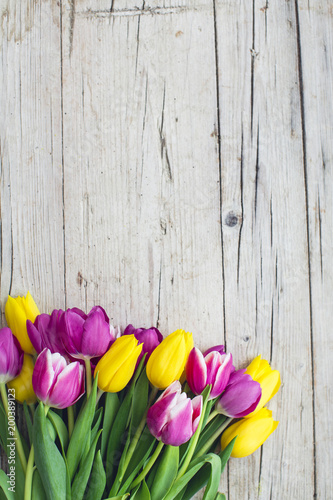 Pink and yellow tulips on a wooden background