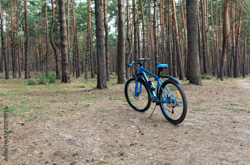 Bicycle in the forest, track cycle, outdoors activities, bike tourism