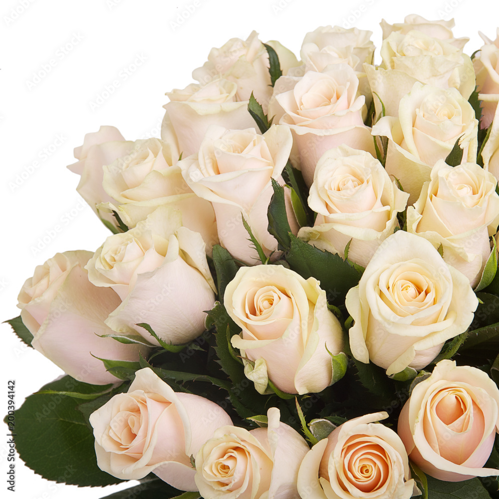 Fototapeta premium Bouquet of cream roses
