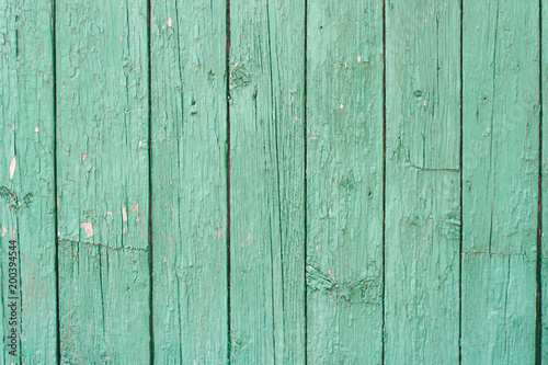 Background from green wooden boards with texture