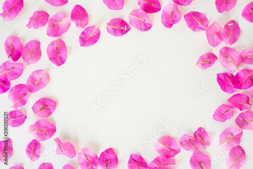 Flat lay Fresh bougainvillea flower isolated on white background