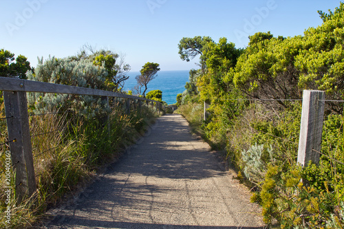 Australien  Great Ocean Road  Weg zur K  ste