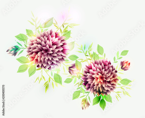 Fototapeta Naklejka Na Ścianę i Meble -  Isolated buquet of purple dahlia flowers. Template for greeting card, vector illustration.