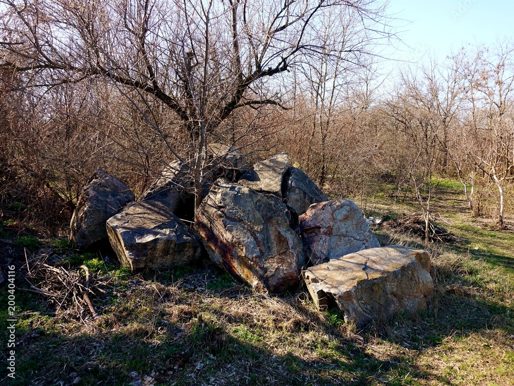 Folded granite stones in the forestor in the park. A bright sunny day in the spring.