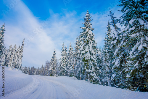 Beautiful outdoor view of winter road covered with heavy snow and ice in the forest