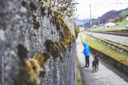 grünes Moos an einer Steinwand mit einer Frau mit blauer Jacke im Hintergrund und ihrem schwarzen Hund neben einem Weg und Bahnschienen