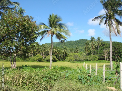 Wallpaper Mural El Nido, Philippines Torontodigital.ca