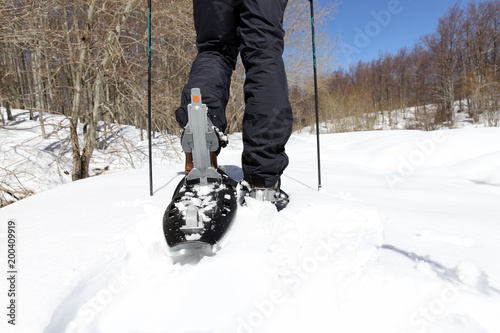 Camminare neve bosco natura photo