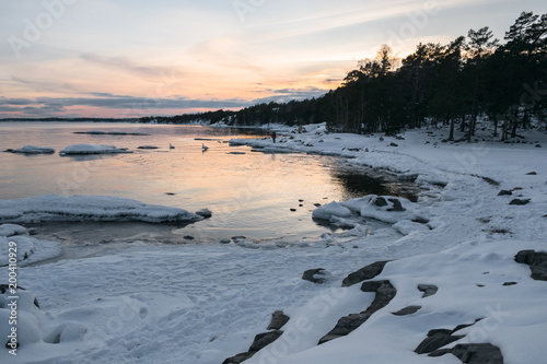 Sunset at Bjorno nature reserve archipelago in Stockholm