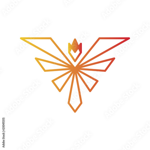 triangle phoenix