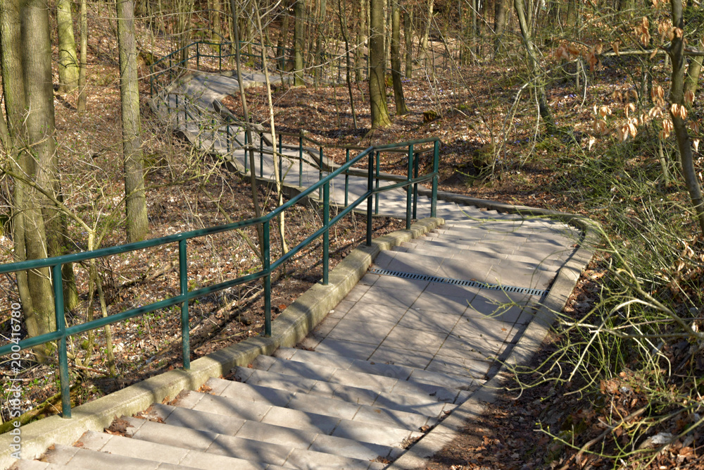 Walkway with railings leading forest