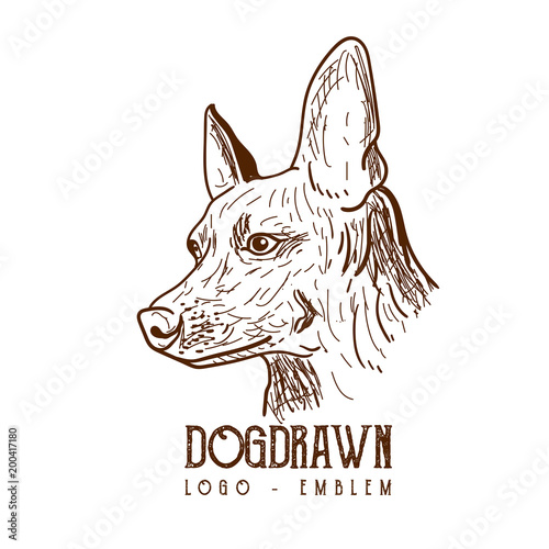 Dog handdrawn, drawing dog