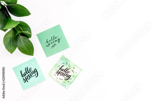 Spring background. Hand lettering hello spring near young green branch on white table top view copy space