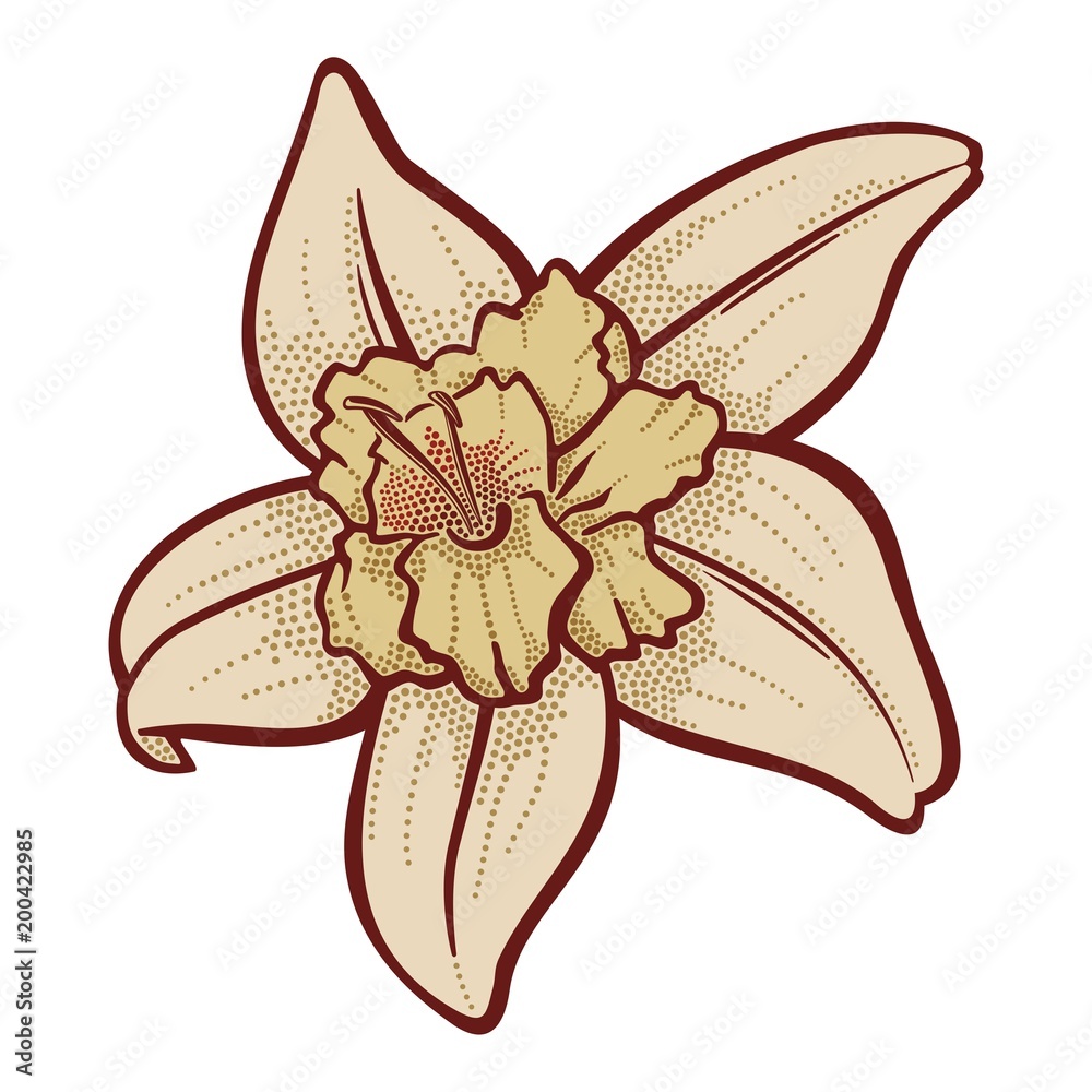 Vanilla Flower