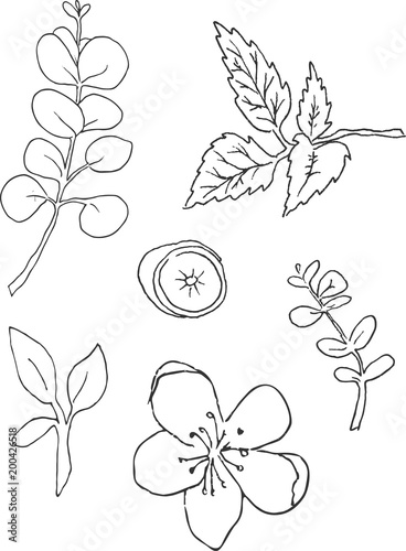 floral natural