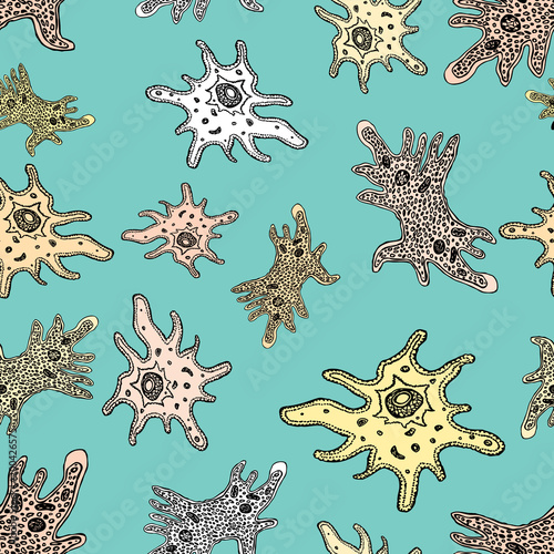 pattern of the various decorative amoebas