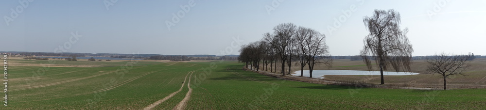 Landscape with a tree-lined road south of Olsztyn, Poland. Panoramic shot.