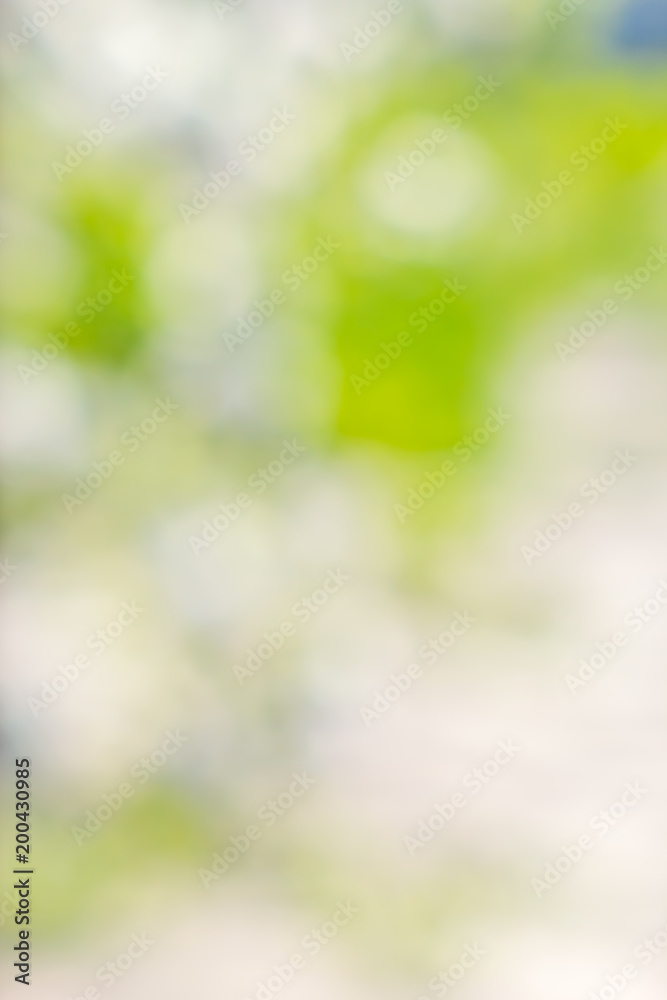 Abstract bright blurred white and green background Abstract bright blurred white and green background
