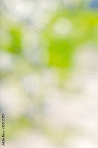 Abstract bright blurred white and green background