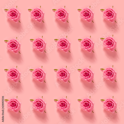 Pink roses on a pastel pink background