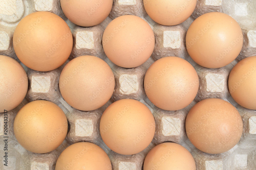 Brown eggs in a cardboard tray for eggs. Brown eggs in a cardboard tray for eggs.