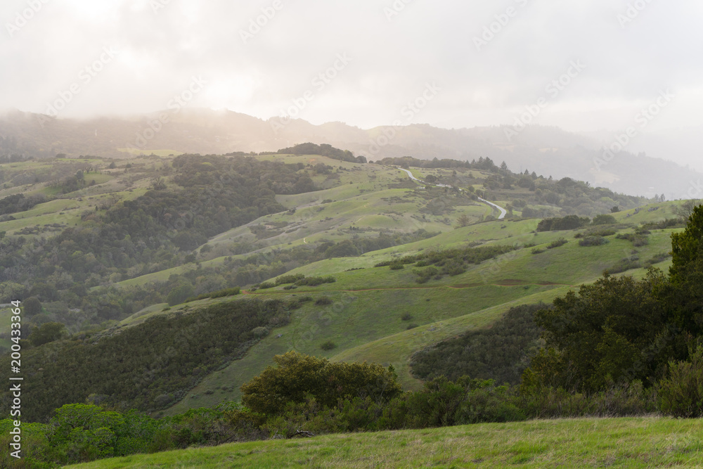Obraz premium Afternoon sunlight hits the hazy hills of Monte Bello near Palo Alto after a morning rain storm