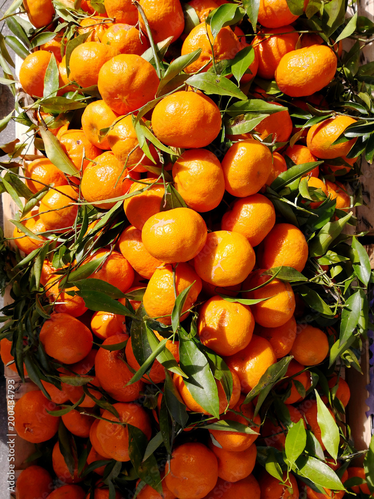 frisch gepflückte Mandarinen im Verkauf in Sizilien, Italien