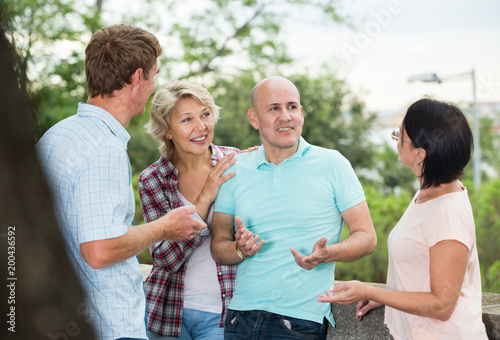 mature cheerful males and females talking outdoors