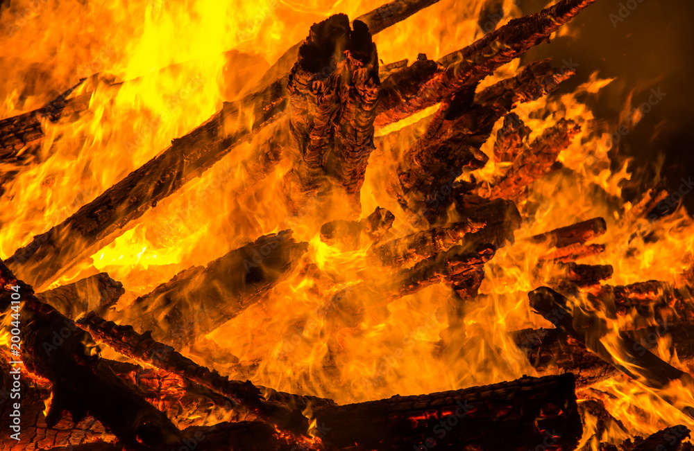Obraz premium Big bonfire closeup