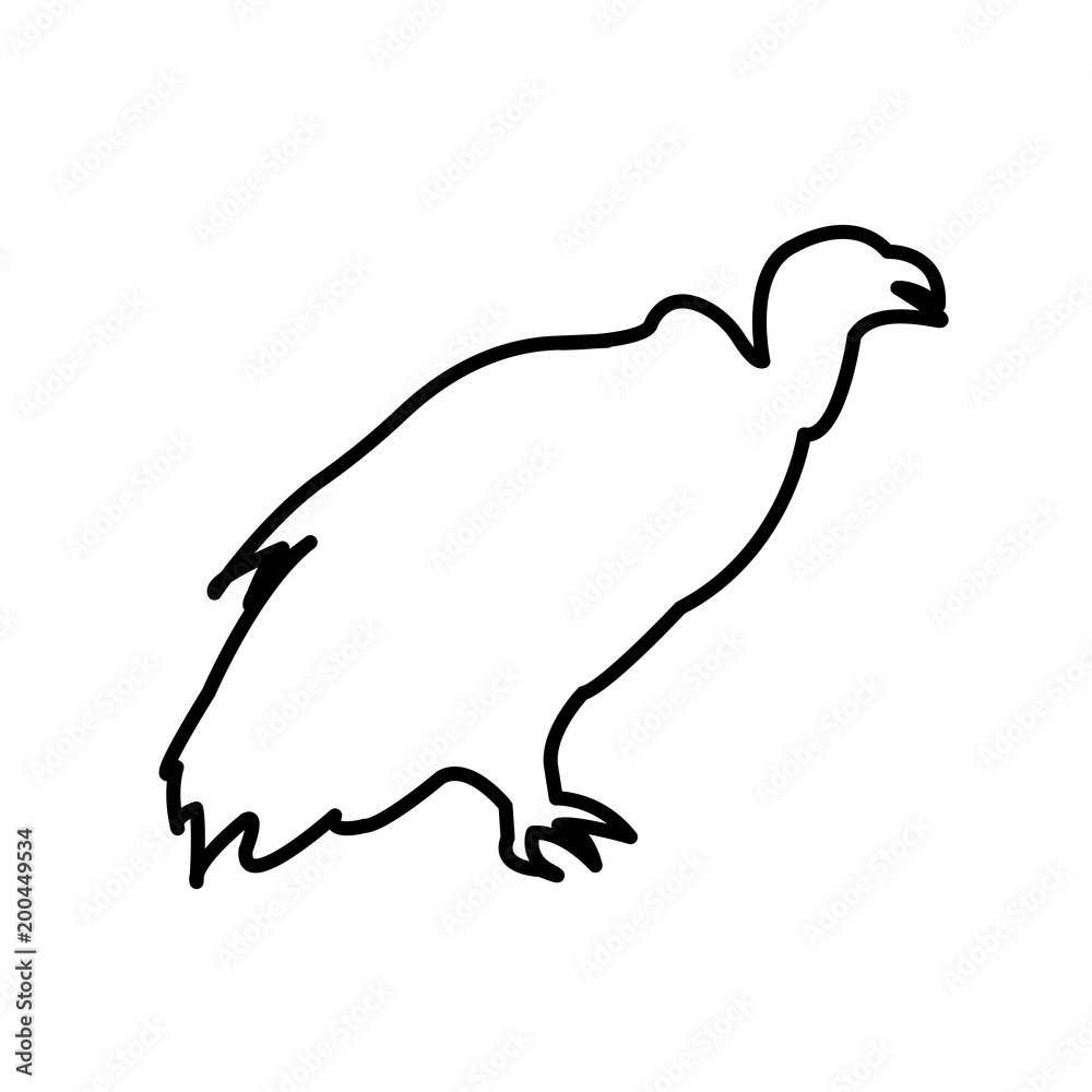Fototapeta premium vulture outline on white background